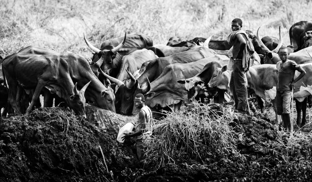 Documentary photography by Tiba - Harmony, Rwanda, 2016. Photography by Tiba Photography by Tiba